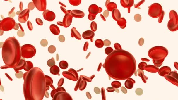 赤血球静脈と動脈の3Dアニメーション 健康管理 ループアニメーション医学 ウイルス 白い背景の病気 — ストック動画