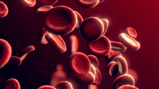 Atardamarda Boyutlu Alyuvar Oluşturma Vücudun Içinde Arteriyel Kan Akışı Tıbbi — Stok video