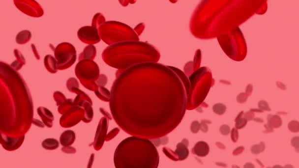 동맥에 적혈구를 렌더링하는 혈류가 흐르는 의학적 인간의 — 비디오