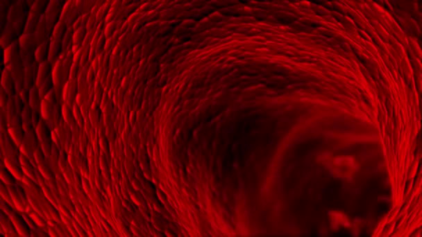 Renderização Glóbulos Vermelhos Uma Artéria Fluxo Sanguíneo Arterial Dentro Corpo — Vídeo de Stock
