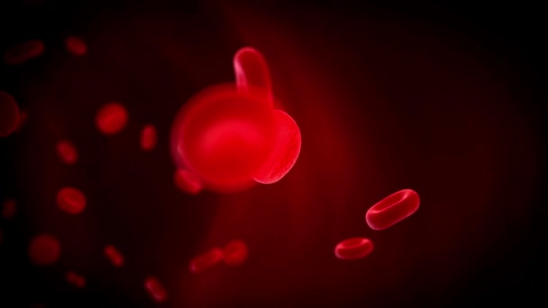 Rote Blutkörperchen Menschliches Kreislaufsystem Schleifenanimation Menschlicher Blutgefäßbewegungen Visueller Effekt — Stockvideo