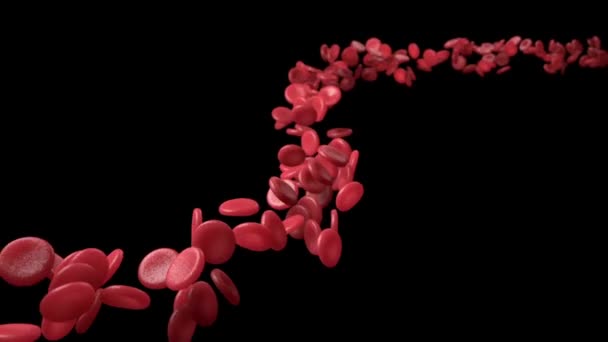 Rote Blutkörperchen Menschliches Kreislaufsystem Schleifenanimation Menschlicher Blutgefäßbewegungen Auf Schwarzem Hintergrund — Stockvideo