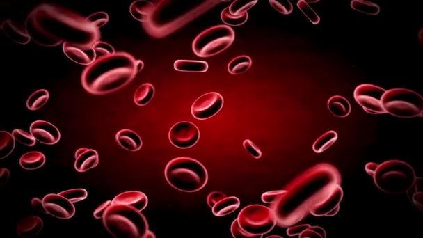 적혈구는 인간의 순환계 사람의 혈관움직임 디자인 애니메이션 — 비디오