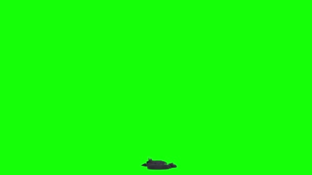 Эффект Торнадо Шторм Черном Фоне Экрана Кино Клипы Активы Vfx — стоковое видео
