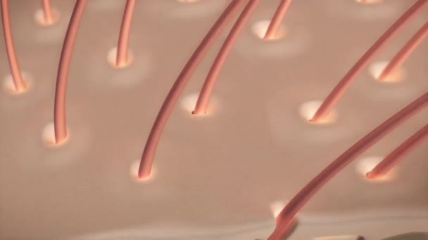 Serum Lotion Liquid Dropping Hair Skin Cell Layer Repair Skin — Stock Video