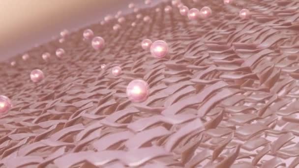 Απεικονίσεις Κυττάρων Του Δέρματος Βιταμίνη Μέσω Της Στιβάδας Του Δέρματος — Αρχείο Βίντεο