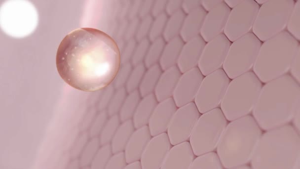 Deri Onarım Hücresinden Vitamin Yağı Sihirli Serum Kozmetik Güzellik Tedavisi — Stok video