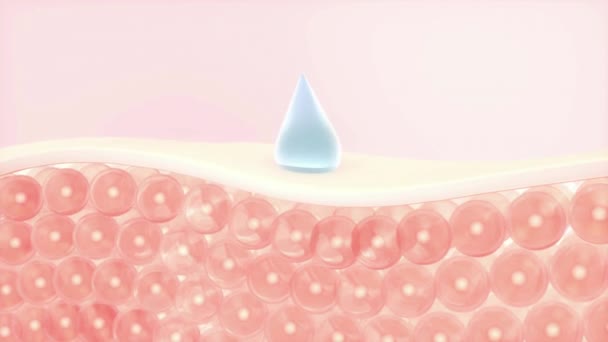 Serum Und Lotion Flüssigkeit Tropfen Die Zellschicht Der Haut Und — Stockvideo