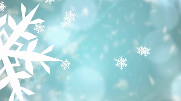 파란색추운 크리스마스 연휴를 배경으로 꽃송이들 아름다운 작품들 — 비디오