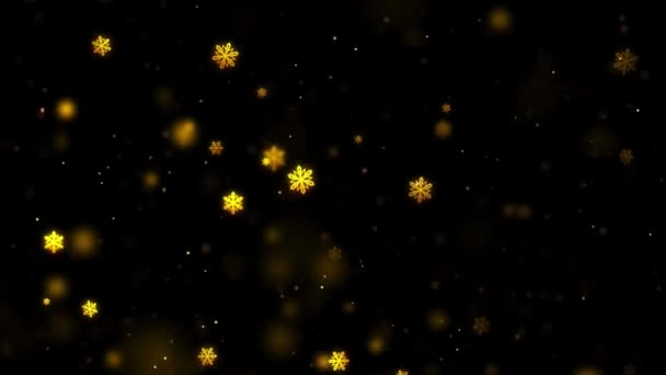 Seamless Animation Falling Gold Snowflakes Animated Flowing Transparent Black Background — Stock Video