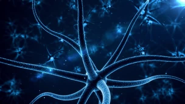 Menselijk Brein Concept Van Neurale Verbindingen Informatieoverdracht Zwarte Achtergrond — Stockvideo