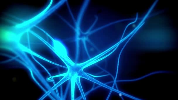 Концепция Мозга Человека Нейронных Соединениях Передача Информации Черный Фон — стоковое видео