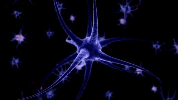 Lidský Mozek Koncept Nervových Spojení Přenos Informací Černé Pozadí — Stock video