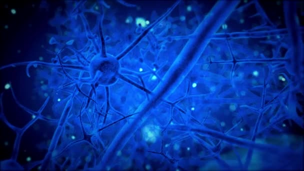 Mozkový Neuron Síťový Detail Cesta Neuronovými Buňkami Uvnitř Mozku Tecno — Stock video