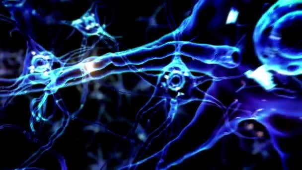 Brain Neuron Network Detalj Färdas Genom Ett Neuroncellsnätverk Inuti Hjärnan — Stockvideo