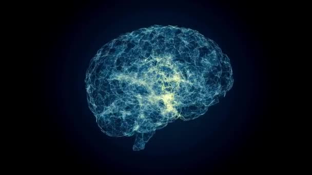 Cérebro Humano Conceito Conexões Neurais Transmissão Informação Fundo Preto — Vídeo de Stock