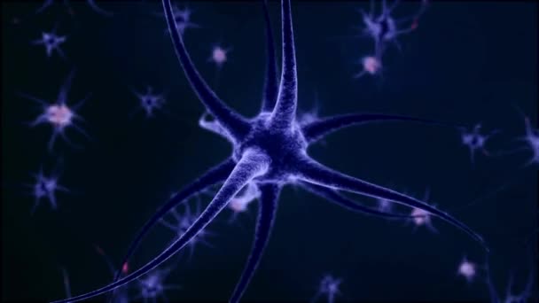 Döngü Animasyonu Nsan Beyninin Mavi Arka Planında Hakiki Nöron Ağı — Stok video