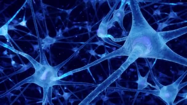 3D环路动画人脑蓝色背景中的真神经元网络突触 — 图库视频影像