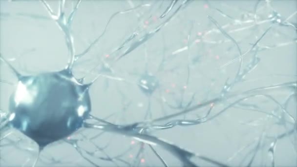 Nöron Hücre Ağı Bilimi Nöral Biyoloji Beyin Iletişimi Bilim Bağlantısı — Stok video