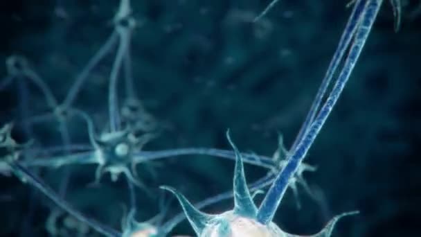 3D环路动画人脑蓝色背景中的真神经元网络突触 — 图库视频影像
