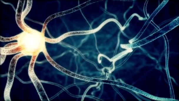 Looping Animation Real Neuron Nätverk Synaps Inuti Den Mänskliga Hjärnan — Stockvideo