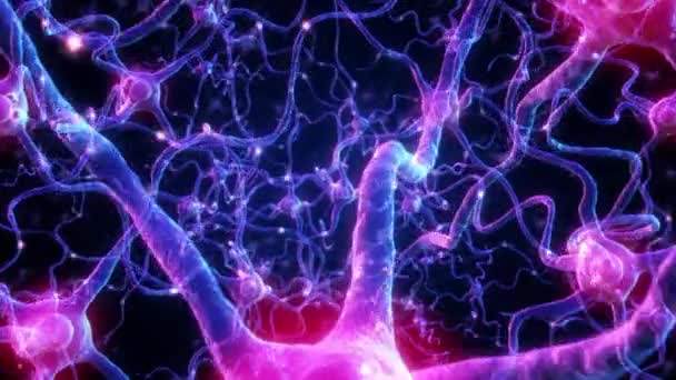 Neurone Rete Cellulare Scienza Biologia Neurale Cervello Comunicazione Scienza Connessione — Video Stock