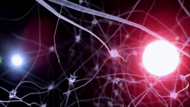 Sistema Cerebral Funciona Neurona Recibe Señales Químicas Eléctricas Fondo — Vídeos de Stock
