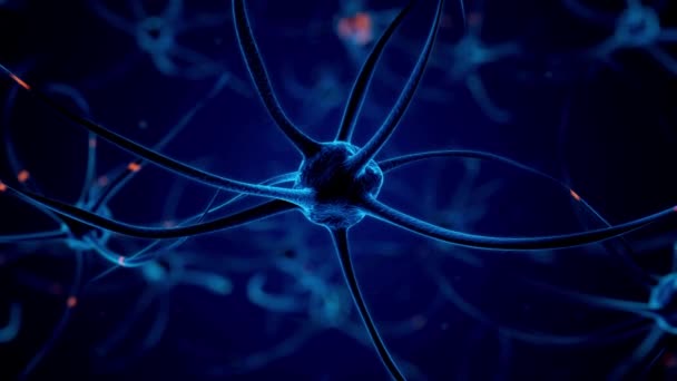 System Mózgu Działa Neuron Otrzymuje Tło Sygnałów Chemicznych Elektrycznych — Wideo stockowe