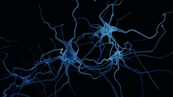 Sistema Cerebral Funciona Neurônio Recebe Sinais Químicos Elétricos Fundo — Vídeo de Stock