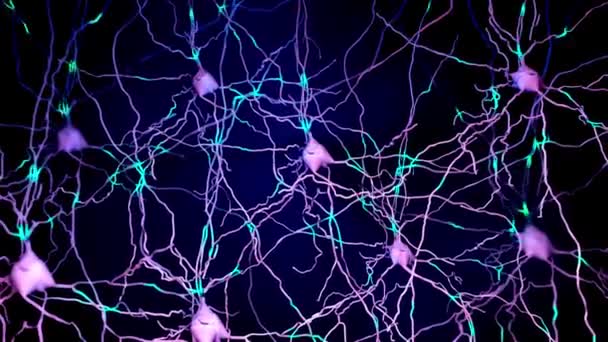Karmaşık Nöron Ağı Sistemi Soyut Arka Plan Bilimi Nöral Biyoloji — Stok video