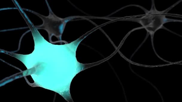 Tudomány Biológia Neuron Hálózat Emberi Idegrendszer Fej Sejt Egészségügyi Háttér — Stock videók