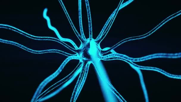 Vetenskap Biologi Neuron Nätverk Mänskliga Nervsystemet Huvud Cell Sjukvård Bakgrund — Stockvideo