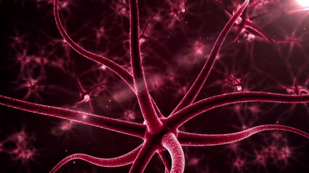 Neuron Cell Network Science Neural Biology Brain Communication Science Connection Video de stock libre de derechos
