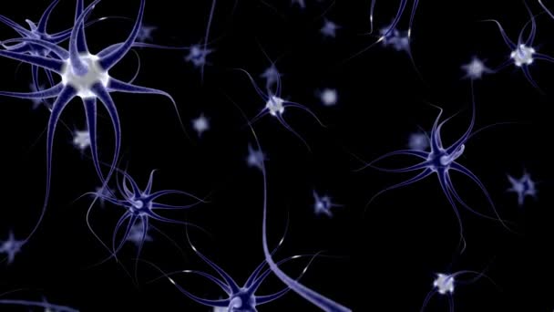 Bilim Biyoloji Nöron Ağı Insan Sinir Sistemi Baş Hücre Sağlık — Stok video
