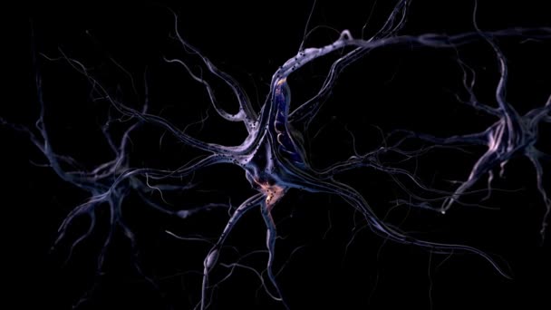 Flying Complex Network Робоча Петля Безшовний Людський Мозок Технології Фон — стокове відео