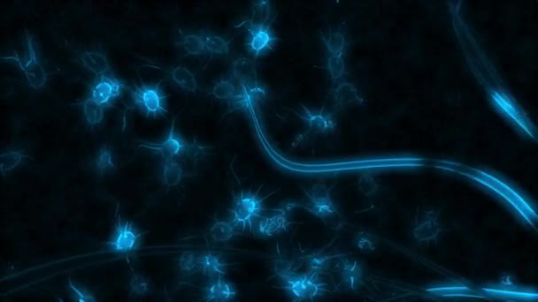 Neuron Nätverk Arbetar Koncept Kommunikation Vetenskap Anslutning Affärsteknik Dator — Stockvideo
