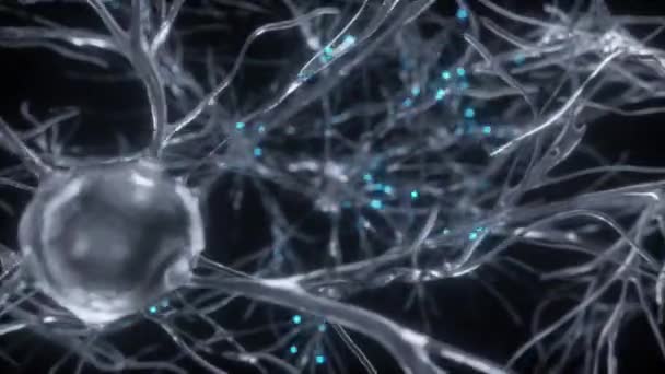 Fliegen Durch Ein Komplexes Netzwerk Arbeitsschleife Nahtlose Menschliche Gehirntechnologie Hintergrund — Stockvideo