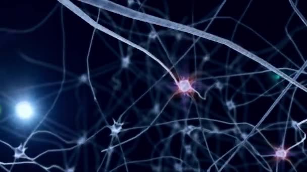 Cérebro Humano Conceito Conexões Neurais Transmissão Informação Fundo Preto — Vídeo de Stock