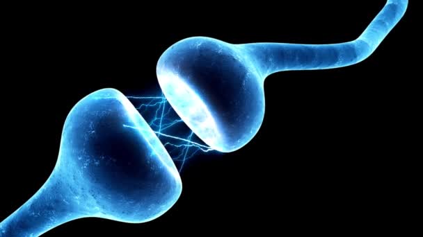 Neurona Transmisión Sináptica Sistema Trabajo Neuronal Cerebro Cabeza Cuerpo Humano — Vídeos de Stock