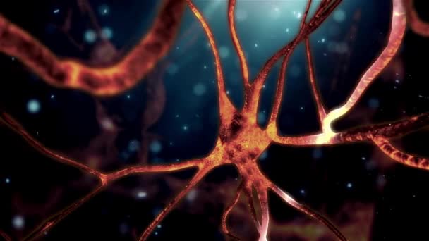 Complejo Neurona Red Sistema Trabajo Cerebro Abstracto Fondo Ciencia Neural — Vídeo de stock
