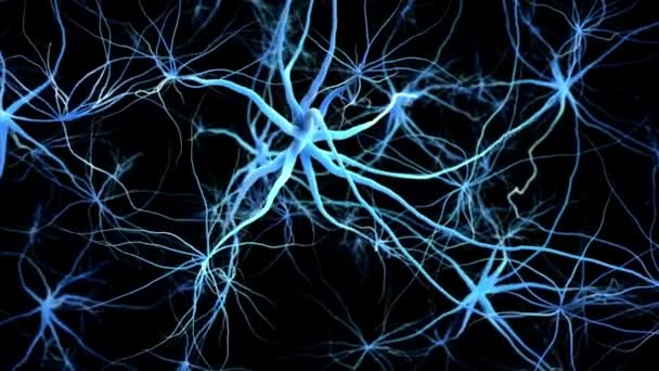神经细胞网络科学神经生物学脑通讯科学连接业务 — 图库视频影像