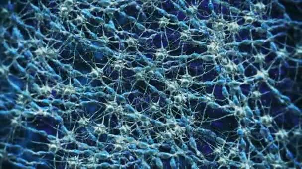科学3D生物神经细胞网络人类神经系统头部细胞保健背景摘要 — 图库视频影像