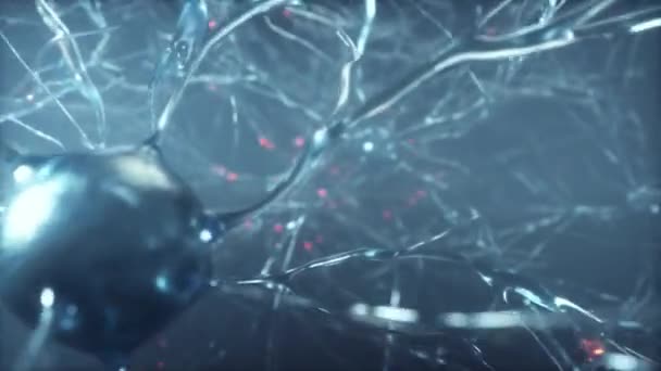 大脑神经细胞网 通过大脑内神经细胞网的详细旅程 Tecno Blue — 图库视频影像
