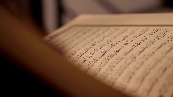 Agrifoglio Corano Libro Con Silhouette Ombra Nera Sfondo Islamico Preghiera — Video Stock