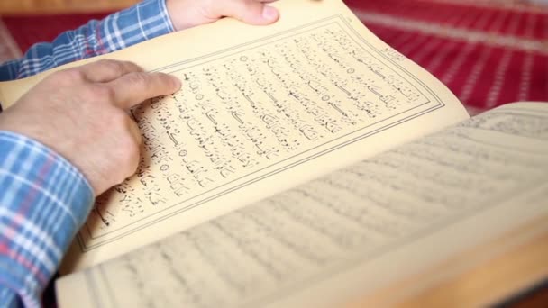 Muçulmano Leitura Islâmico Sagrado Livro Dedo Apontando Texto Alcorão Texto — Vídeo de Stock