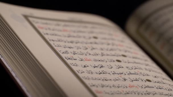 Закрыть Холли Куран Страниц Мусульманских Чтение Фонового Корана Чтение Просмотр — стоковое видео