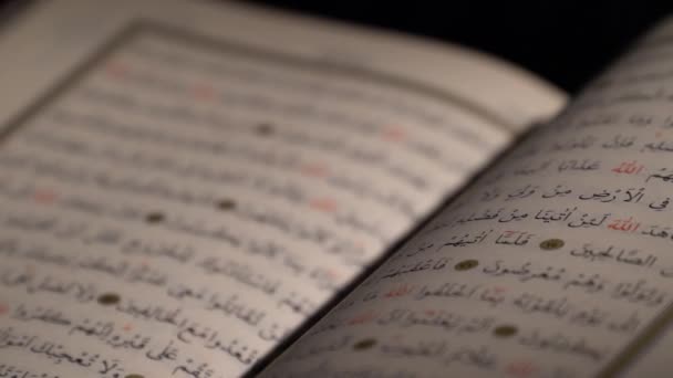 閉じるアップホリー クルアーンページイスラム教徒の読書背景コーランの読書と本の閲覧 — ストック動画