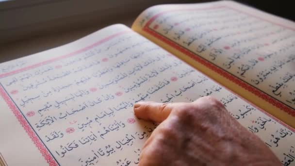 Islámské Koránu Stránky Holly Kniha Muslimské Islámské Arabské Náboženské Knihy — Stock video