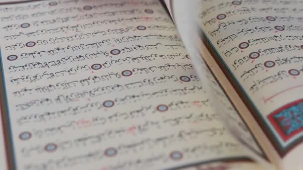 Исламистский Коран Страницы Священной Книги Ислама Арабика — стоковое видео