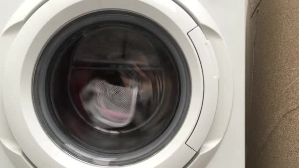 Close Lavatrice Spinning Lavaggio Abbigliamento Bolle Acqua Casa Vita Pulizia — Video Stock